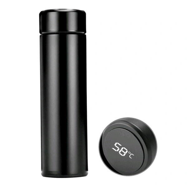 Temperature Water Bottle