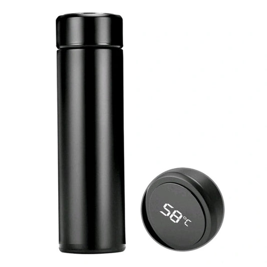 Temperature Water Bottle